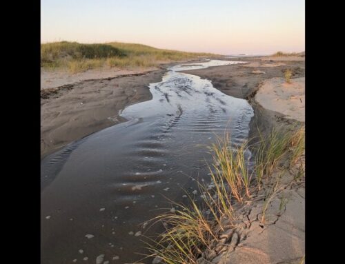 Dune Break